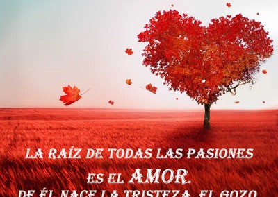 arbol-amor