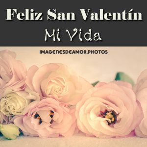 san valentín para parejas