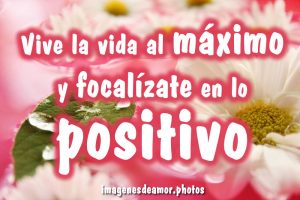 frases de motivación