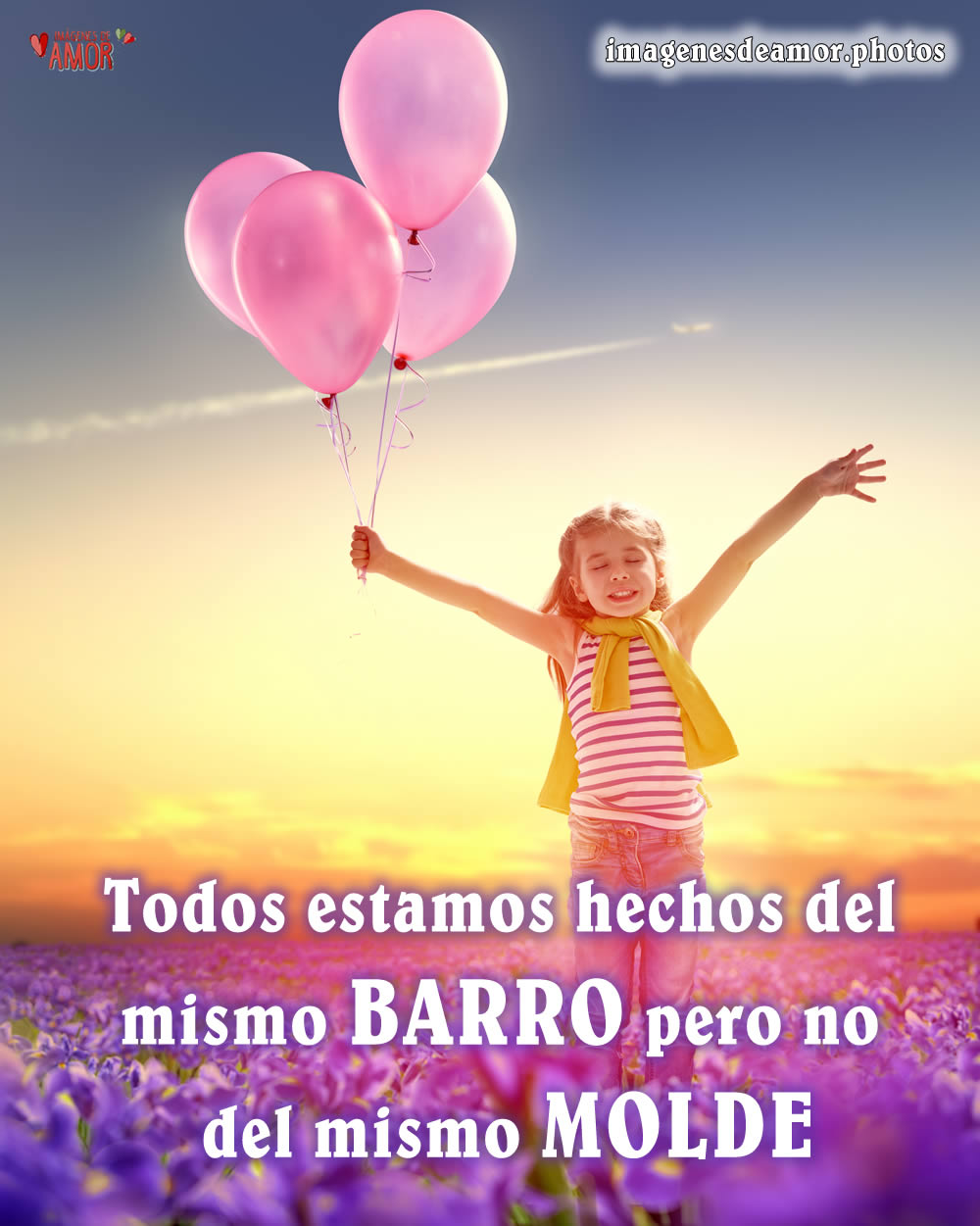imagenes con frases de la vida