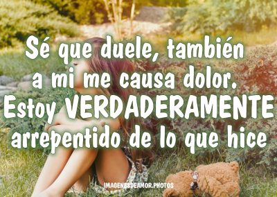 frases-de-pedir-perdon