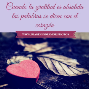 frases de gracias